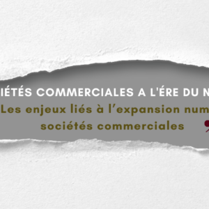 Les sociétés commerciales à l&rsquo;ère du numérique: Les enjeux liés à l’expansion numérique des sociétés commerciales