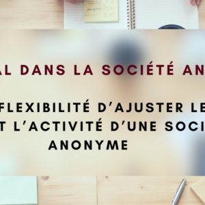 Le capital dans la société anonyme: SERIE 2: La flexibilité d&rsquo;ajuster le capital durant l&rsquo;activité d&rsquo;une société anonyme