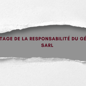 DÉCRYPTAGE DE LA RESPONSABILITÉ DU GÉRANT DE LA SARL